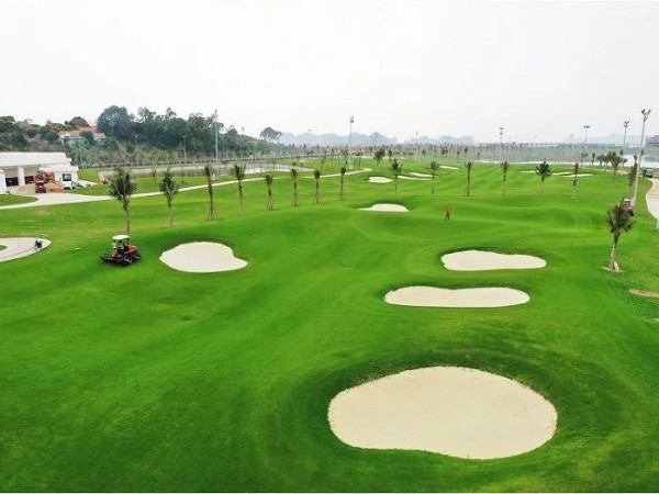 투안 차우 골프 리조트 ( Tuan Chau Golf Resort )